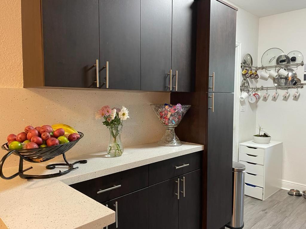 Brazilian Home Coral Gables Luaran gambar